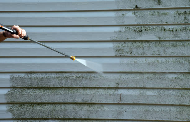 Best Commercial Mold Removal  in St Augustine South, FL