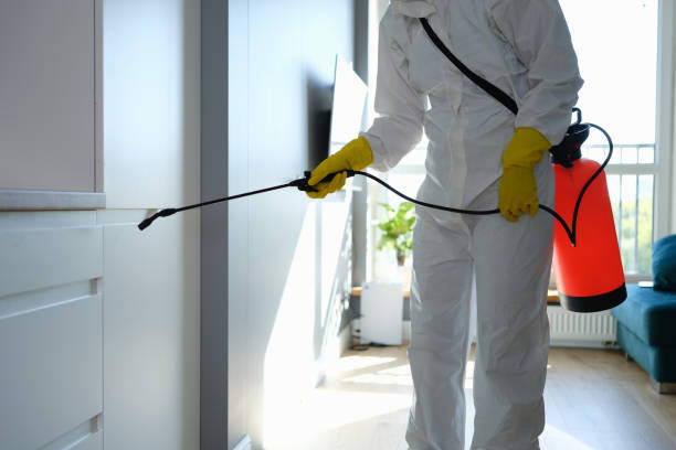 Best Office Mold Removal Services  in St Augustine South, FL